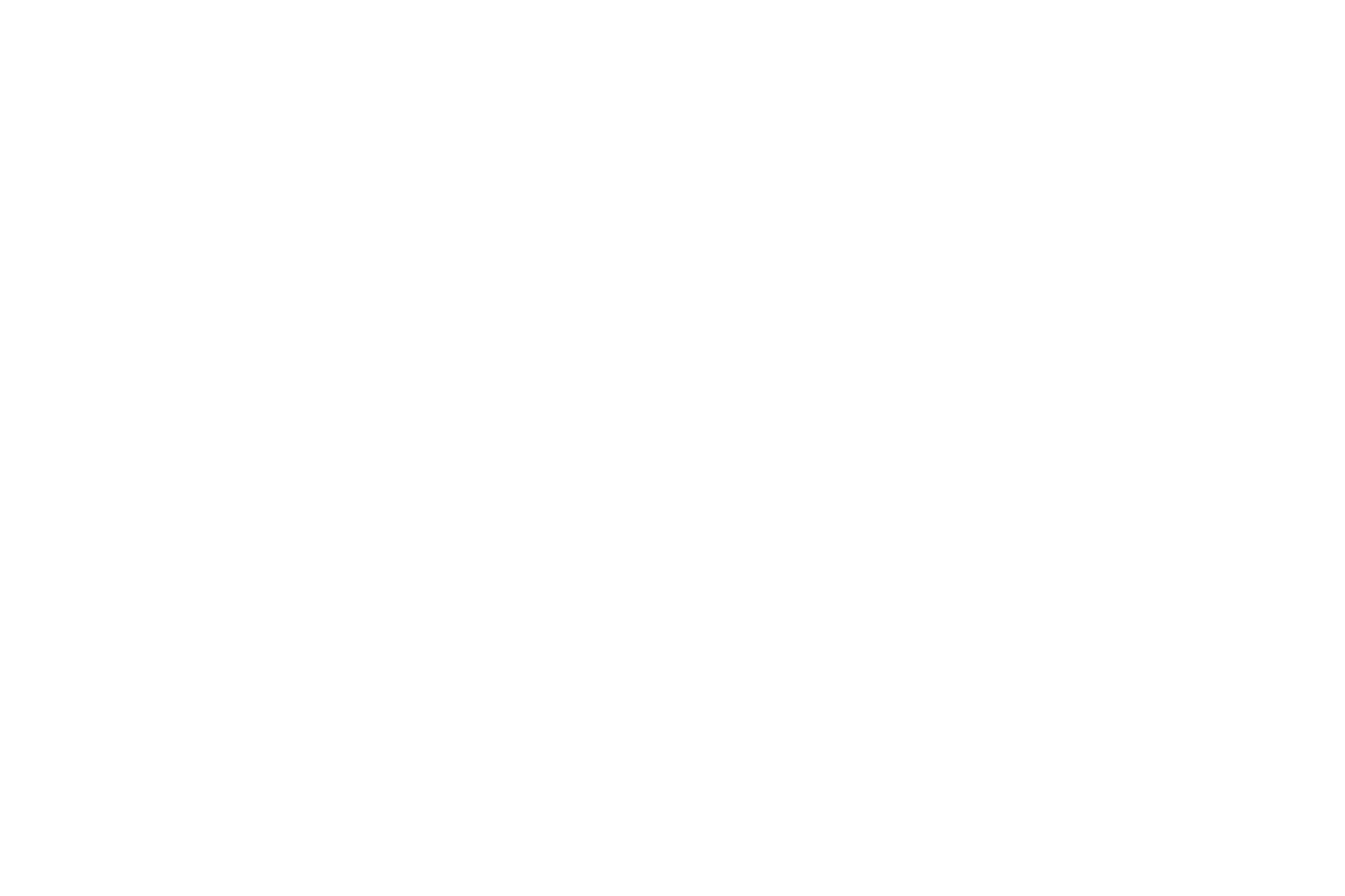 Wiilog